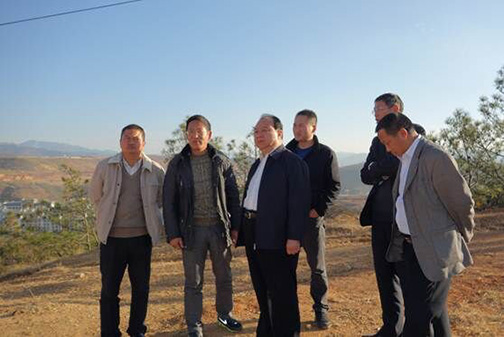 中国西部开发促进会领导到云南省大理州海东开发区调研7.jpg