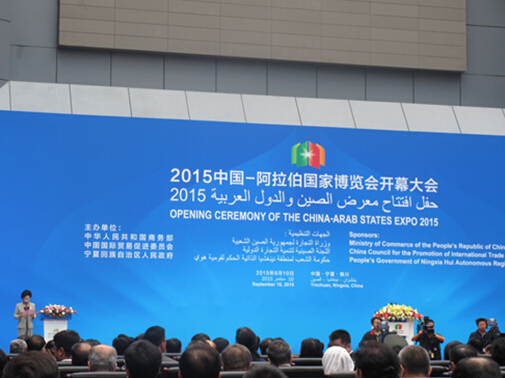 2015中国—阿拉伯国家博览会4.jpg