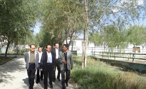 中国西部开发促进会赴嘉峪关市牧源滩畜牧有限公司调研2.jpg