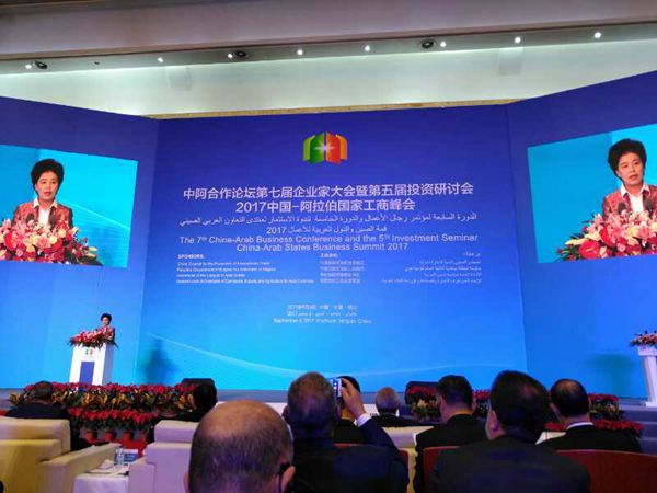 2017中国-阿拉伯国家工商峰会2.jpg