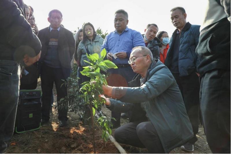 吴传明在田间做技术指导。
