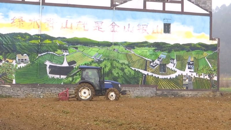 在金沙县柳塘镇淹坝村，农机正在田间地头来回穿梭翻犁土地。吴艳禹摄