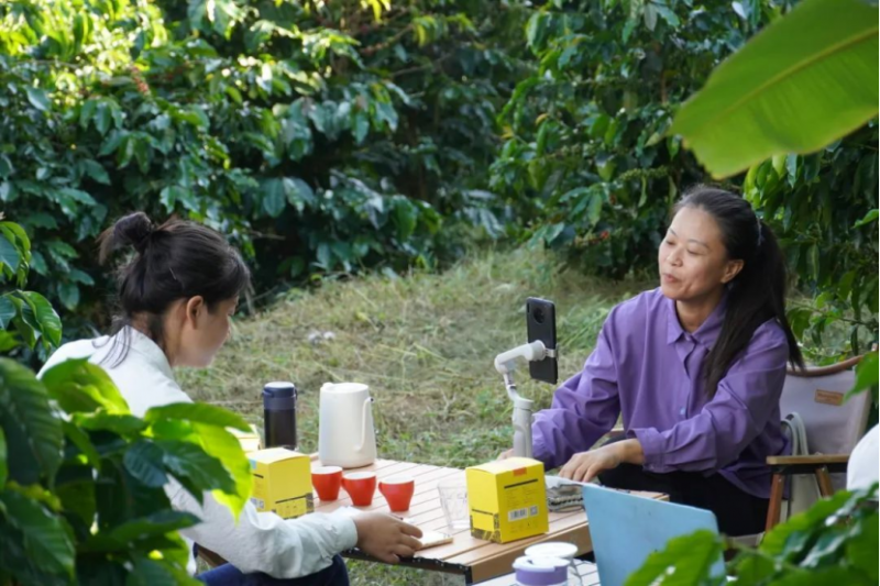 普洱，开在咖啡园里的电商直播。图源：云新闻