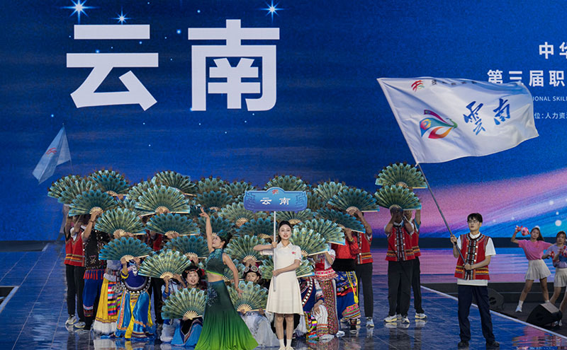 开幕式现场。云南省人力资源和社会保障厅供图