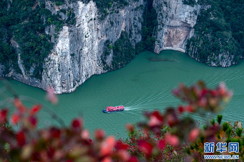 红叶映江，山随船动，每一片红叶都藏着秋冬的深情。新华网发（简毅 摄）